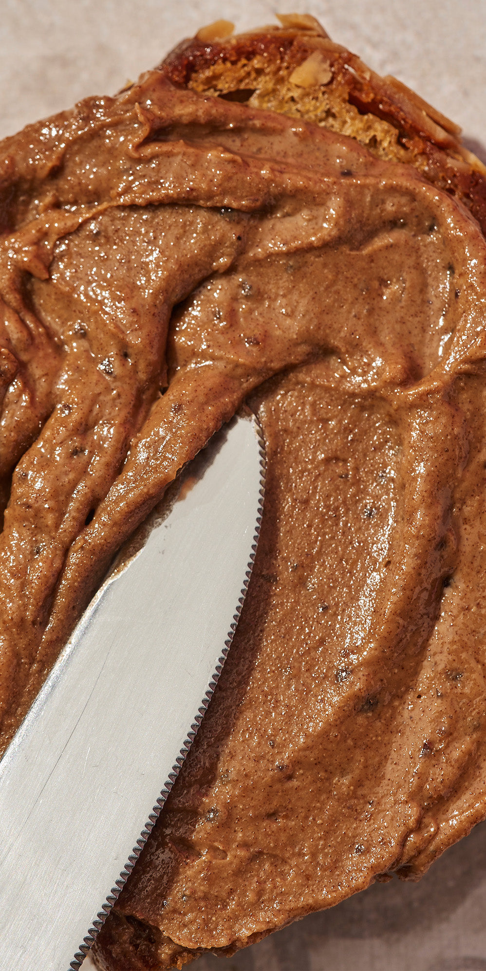 Combo dulce navidad: Queso Crema Everything Bagel+ Crunchy Spread 200gr